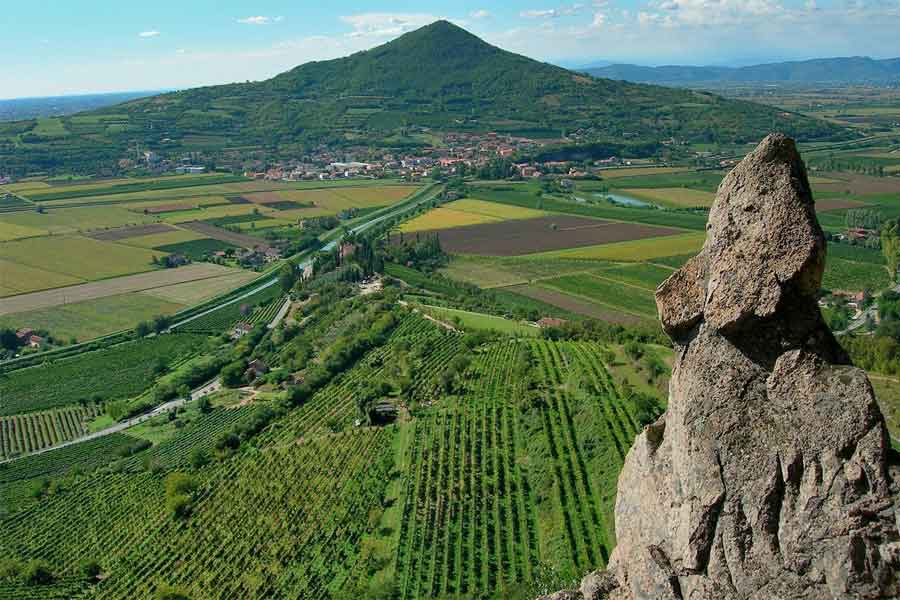 Rượu vang Nho cam Ý FIOR D’ARANCIO COLLI EUGANE